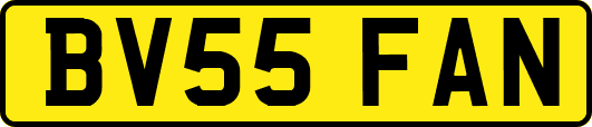 BV55FAN