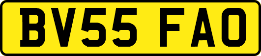 BV55FAO