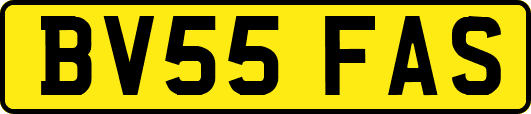 BV55FAS