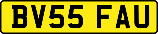 BV55FAU