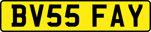 BV55FAY
