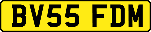 BV55FDM