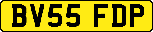 BV55FDP