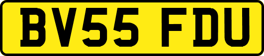 BV55FDU