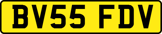 BV55FDV