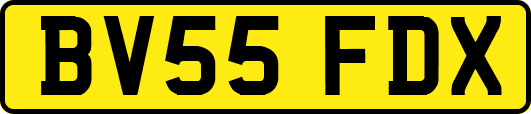BV55FDX