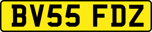BV55FDZ