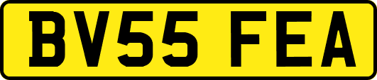 BV55FEA