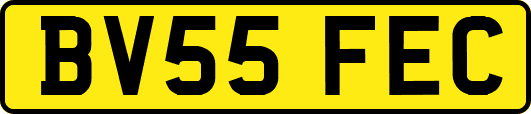 BV55FEC