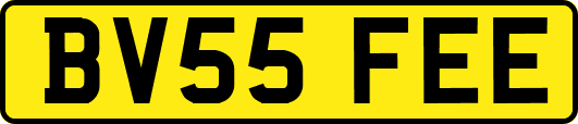 BV55FEE