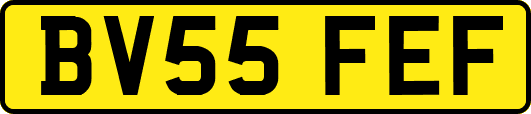 BV55FEF