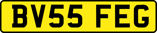BV55FEG