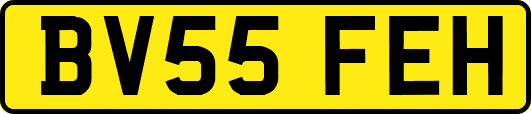BV55FEH