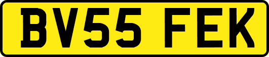 BV55FEK