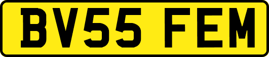 BV55FEM