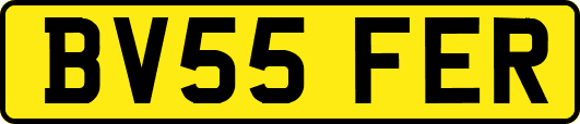 BV55FER