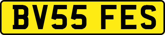 BV55FES