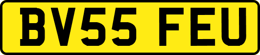 BV55FEU
