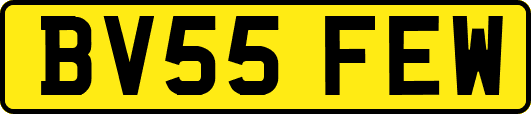 BV55FEW