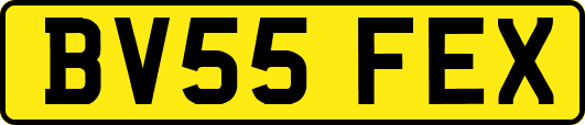 BV55FEX