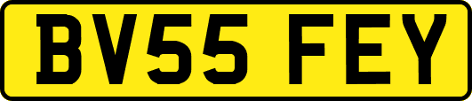 BV55FEY