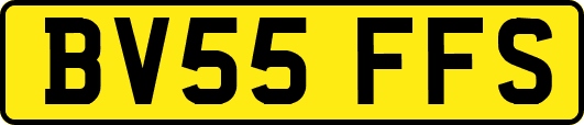 BV55FFS