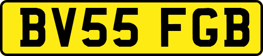 BV55FGB