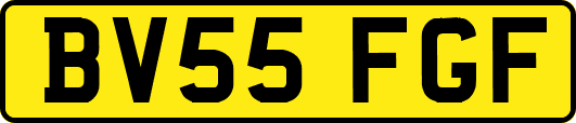 BV55FGF