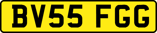 BV55FGG