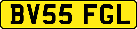 BV55FGL