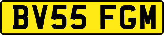 BV55FGM