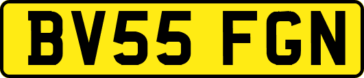 BV55FGN
