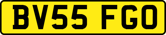 BV55FGO