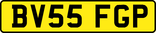 BV55FGP