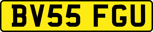 BV55FGU