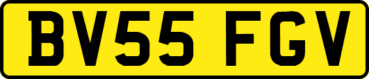 BV55FGV