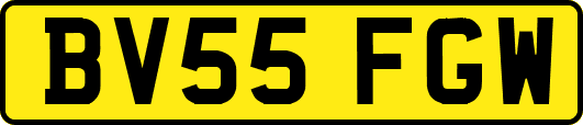 BV55FGW