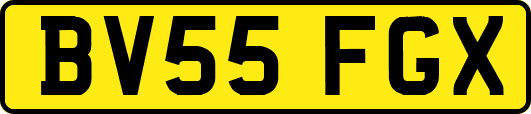 BV55FGX