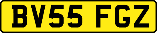 BV55FGZ