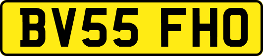 BV55FHO