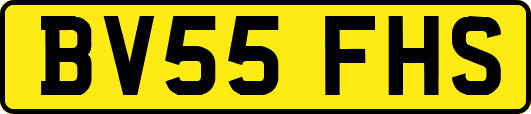 BV55FHS