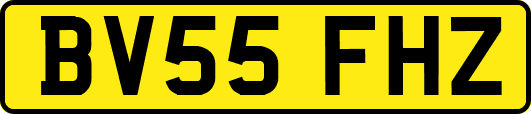 BV55FHZ