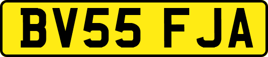 BV55FJA