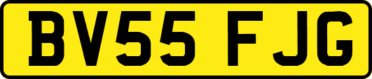 BV55FJG