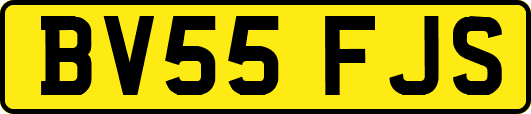BV55FJS