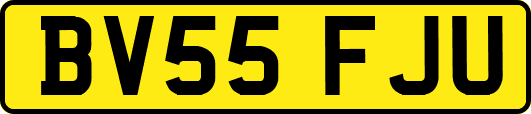 BV55FJU