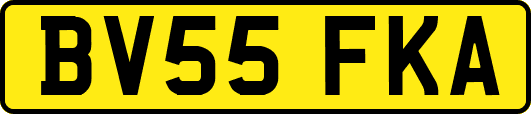 BV55FKA