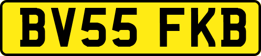 BV55FKB