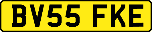 BV55FKE