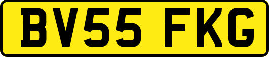 BV55FKG